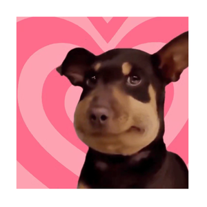 你的小狗（Prod.by PandaG）