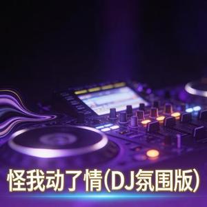 怪我动了情 (DJ版)