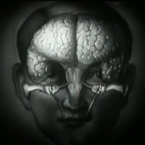 Viscera (Sample Sunday Cut)