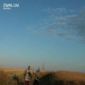 Zwaluw