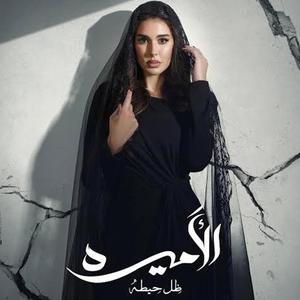 Amira's dream