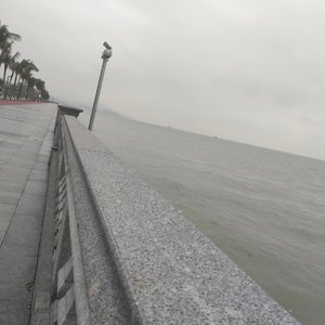 365天（Prod by Young Loui$）