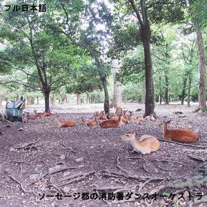 愛をこめてマリアのために