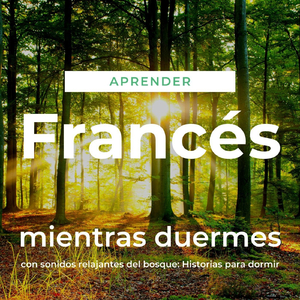 Aprender Francés Mientras Duermes Con Sonidos Relajantes del Bosque: Guía para Oyentes