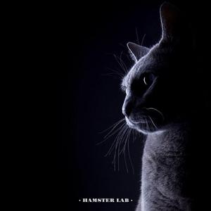 別怕我傷心 - Never Mind My Tears