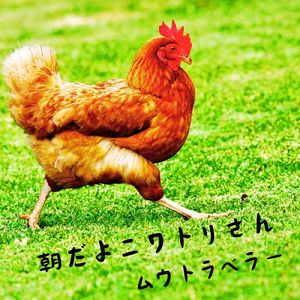 朝だよニワトリさん