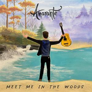 Meet Me in the Woods