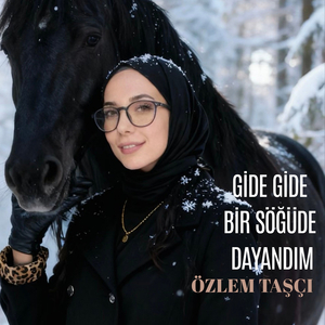 Gide Gide Bir Söğüde Dayandım