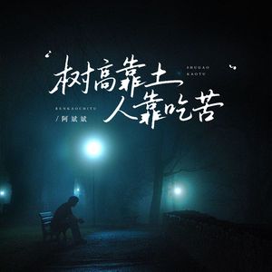 树高靠土 人靠吃苦（DJ版）