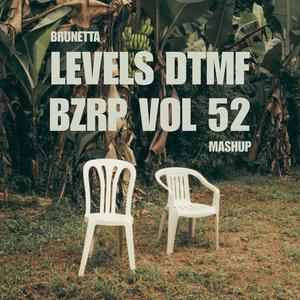 Levels / DtMf / Bzrp vol 52
