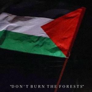 D O N ' T B U R N T H E F O R E S T S