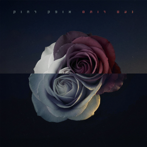 כבשים חשמליות