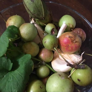 Mediterranean (Live)