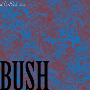 BUSH