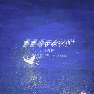 星星落在森林里