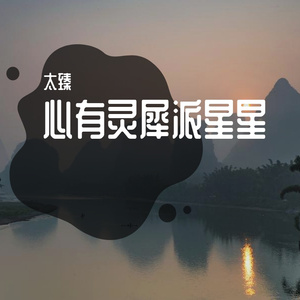 夜晚的微风吹吹