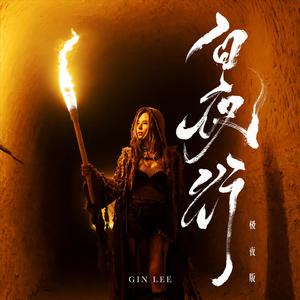 白夜行 (极夜版)