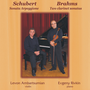 Arpeggione Sonata in A Minor, Op. posth., D. 821:III. Allegretto