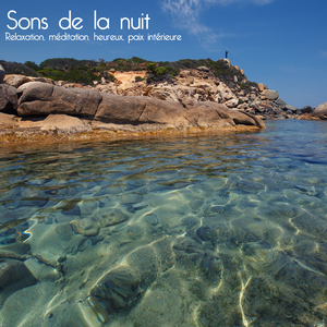 3. Rondo. Tempo Di Menuetto - AllegroViolin Concerto In A Major, NO 5, K219