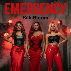 EMERGENCY (Pop Edit)