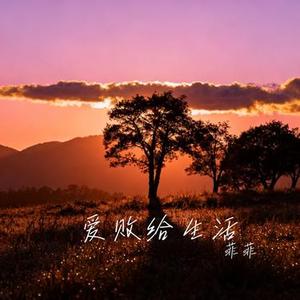 爱败给生活 (Cover 王佳音)