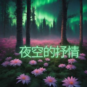 夜空的抒情