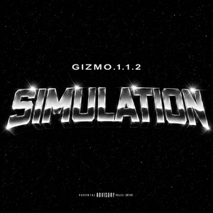 Simulation