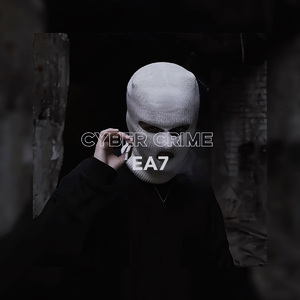 Cyber Crime (网络犯罪）