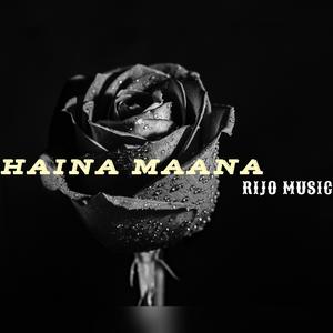 Haina Maana