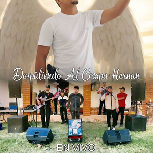 Me Gusto Vivir La Vida