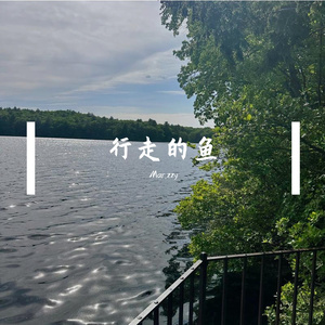 行走的鱼