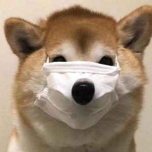 七秒钟的记忆