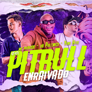 Pitbull Enraivado (Remix)