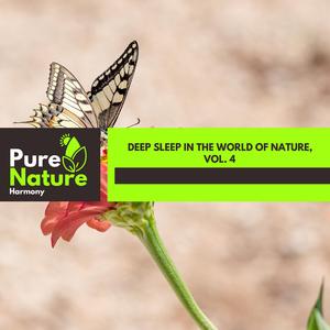 Following Small Birds