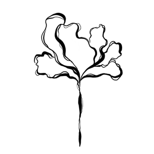 Flor