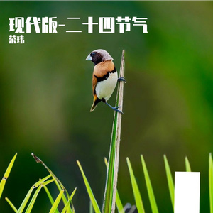 大寒时节的南方天空