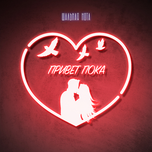 Привет пока