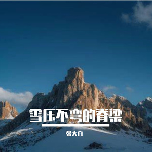 雪压不弯的脊梁