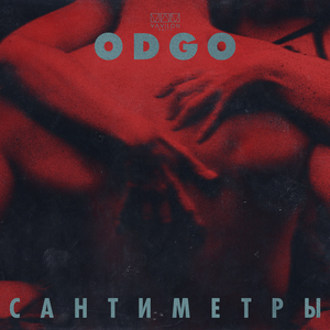 Сантиметры