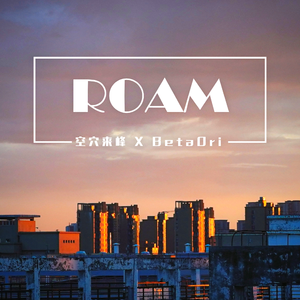 ROAM