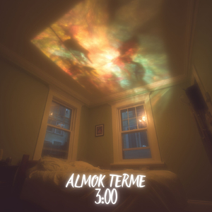 3:00