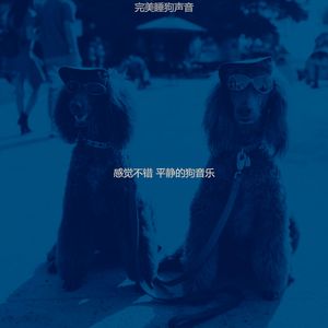 微妙的冷静的狗心情