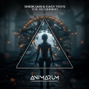 The Beginning (Acid Mix)