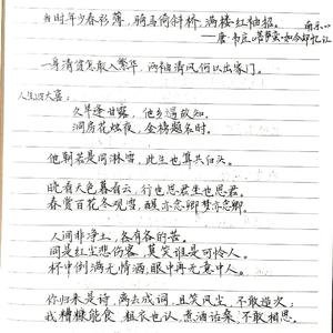 关忆北（cover宋冬野）