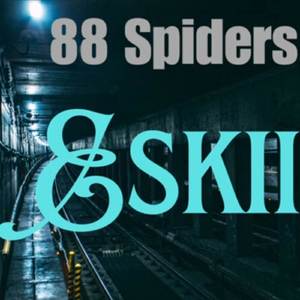 Spiders