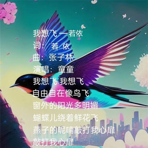 我想飞