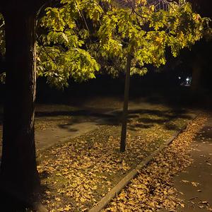 make believe (feat. wll)