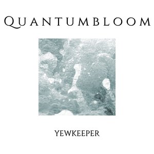 Quantumbloom