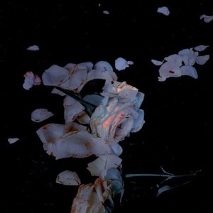 云压雨（片段）