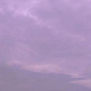 回头算不算太迟